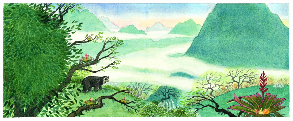 Spread from WILD ABOUT BEARS, Illustration © Jeannie Brett