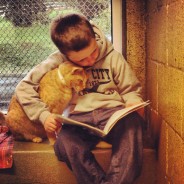 Reading to Shelter Cats